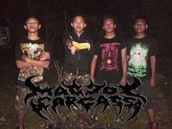Maggot Carcass