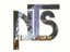 NTS (Artist)