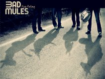 BAD MULES