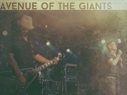 Image for Avenue of the Giants