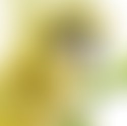 Artist 2409330 1653426368