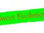 Sweet Evolution
