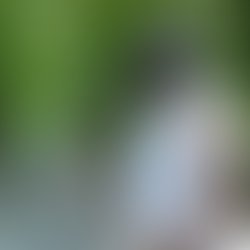 Received 10216208506592530