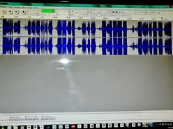 Sparkle City Blues Jams and Shows