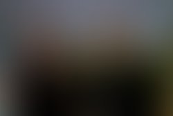 1311651476 447773478842 9095983842 5429992 1322441 n