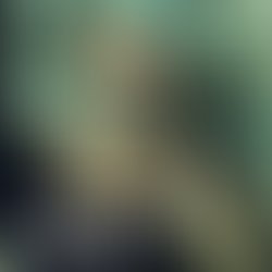 Artist 241494 1520277932