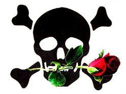 Image for Rose City
