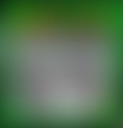 Cover01ir 1269254079