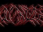 Image for Vulgarizer
