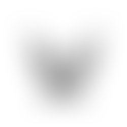1461755931 acllar15logo