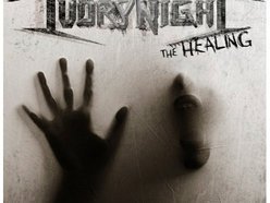 Image for IVORY NIGHT