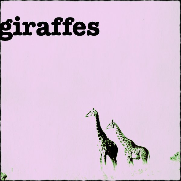 ReverbNation profile picture for @giraffes