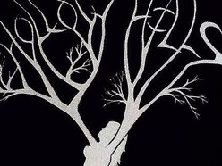 Image for Hollow Hills
