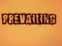 ReverbNation profile picture for @prevailing