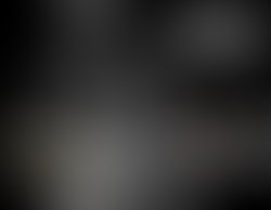 1334243273 whiteywlogo.bw copy