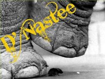 D. Nastee