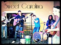 Sweet Carolina 8H