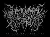 Intracranial Parasite