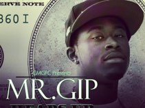 Mr. G.I.P