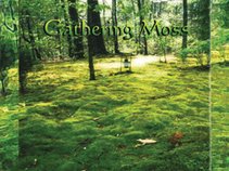 Gathering Moss