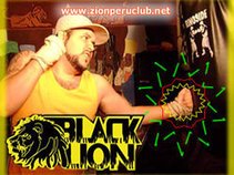 BLACK LION
