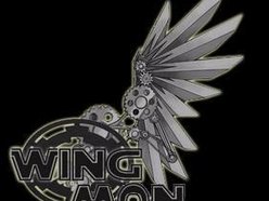 Image for Wingman
