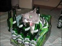 BeerCat