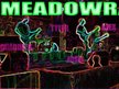Meadow Rave