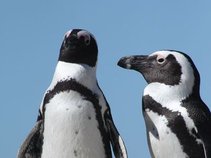 Luís Cláudio Neves (ELETROTUQUE)