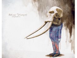 Image for Aaron Strumpel