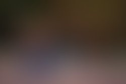 1331252712 img2034 l
