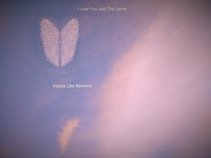 Voices Like Banners