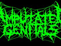 Amputated Genitals