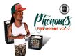 phenomtreehouse