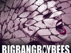 BIGBANGBAYBEES