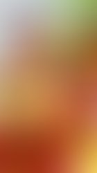 1332361020 new blind 119