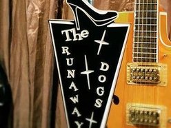 Image for The Runaway Dogs