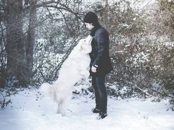 Image for Taylor Curtis