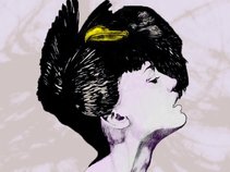 Kill Crows