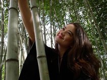 Lisa Furukawa