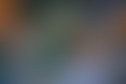 Jjp body of the soul picture 12