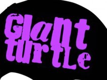 Giant-Turtle...