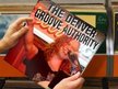 The Denver Groove Authority