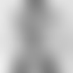 Artist 2477364 1491272223