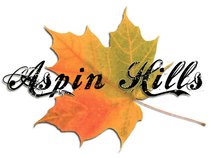 Aspin Hills