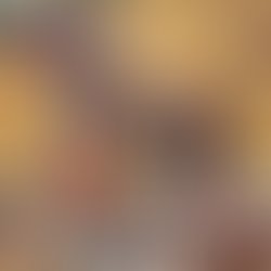 14462960 626218530873296 4523367205481442216 n