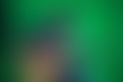 1331852496 mitch marcoulier