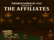 Thoroughbred Taz