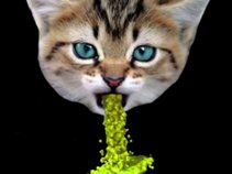 Spin Dry Kittins