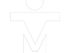Image for ivison